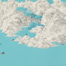 DING Wenqing 丁文卿