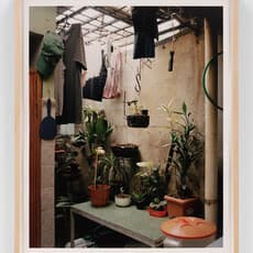 Steven Molina Contreras