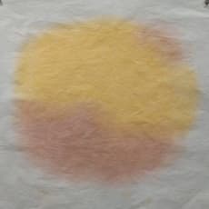 Xu Hongming 徐红明