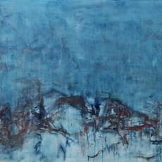 wei xiong