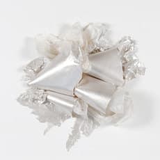 Rosana Castrillo Diaz