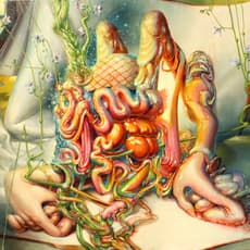 Sri Whipple
