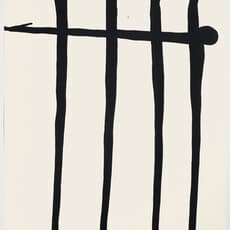 Anna Maria Maiolino, Codificações Matéricas (1995)