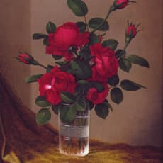 Martin Johnson Heade