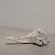 Saray Purto Hoffmann