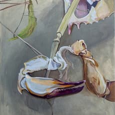 Rory Torstensson
