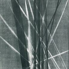 Hans Hartung, Hans Arp (1967)