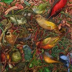 Judy Garfin