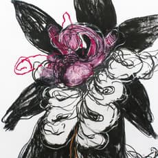 Angel Ricardo Ricardo Ríos