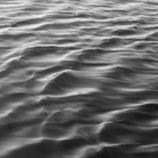 Victoria Mara Heilweil