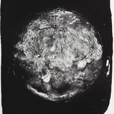 Delfina Malka Aversa