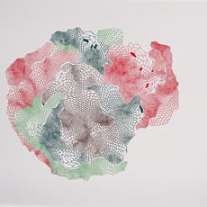 Colleen Wolstenholme