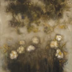 Tina Feingold