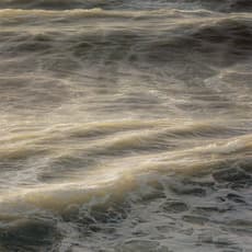 Ran Ortner