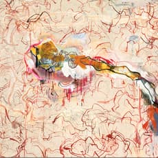 Susanne Doremus