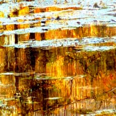 Shoja Azari and Shahram Karimi