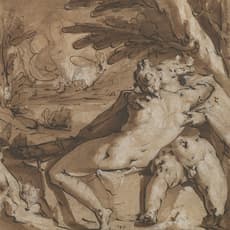 Jan Harmensz. Muller