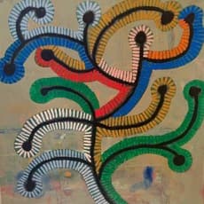 Stephen B MacInnis