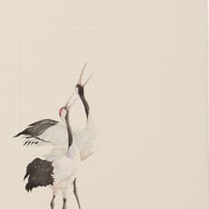 Li Wenfeng