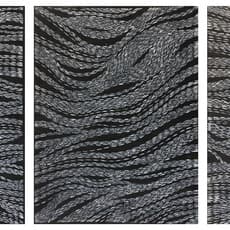 Safdar Ali Qureshi (b. 1980)