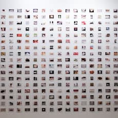 Daniel García Andujar