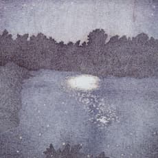 Lai Jin'na