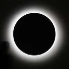 Félicie d’Estienne d’Orves