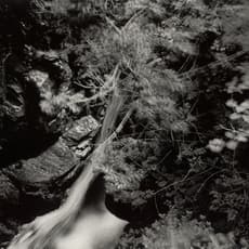 Thomas Joshua Cooper