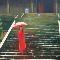 Le Nhu Ha