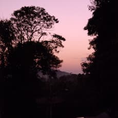 Dudu Quintanilha