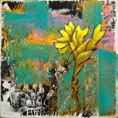 Sue Bennett-Williams