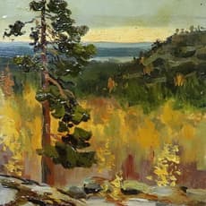 Yuntonen