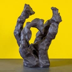 Miriam Rodriguez Startz