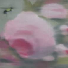 Sherry Kerlin