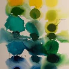 Jaewook Lee