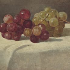 Helen Searle