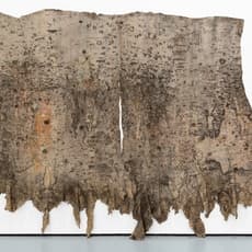 Eddie Rodolfo Aparicio