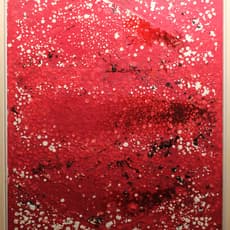 Tadashi Sugimata 杉全 直