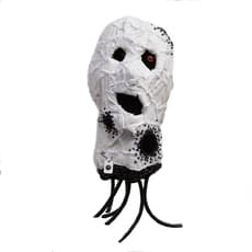 Megasoma Mars