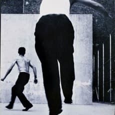 Leon Levinstein