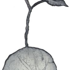 Kent Karlsson