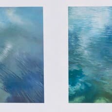Andrea Danker