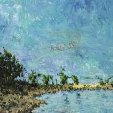 Liu Wei 刘炜 (b. 1965)