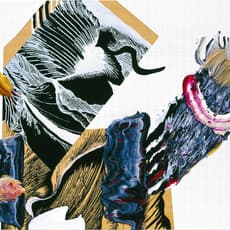 Pia Fries