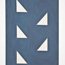 Camila Oliveira Fairclough